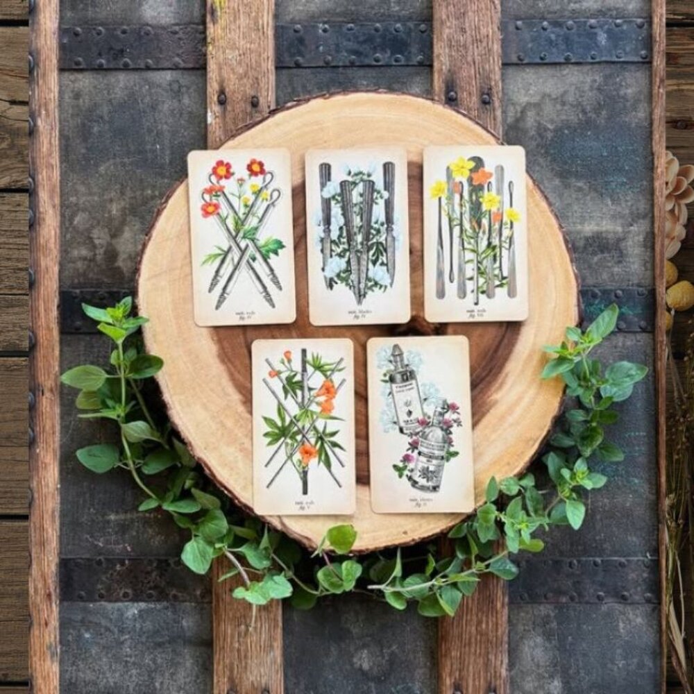 Antique Anatomy Tarot Deck | 78-Card Tarot with Guidebook | Gift Ready - Picture 5 of 16